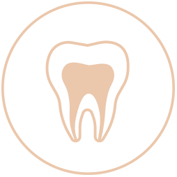 Root Canal